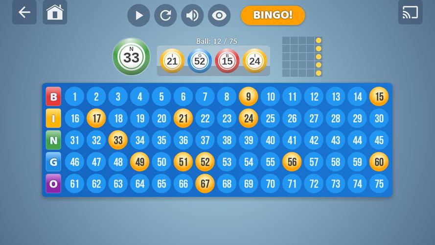 Bingo Set स्क्रीनशॉट 3