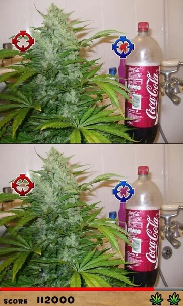 Weed Lite Скриншот 1