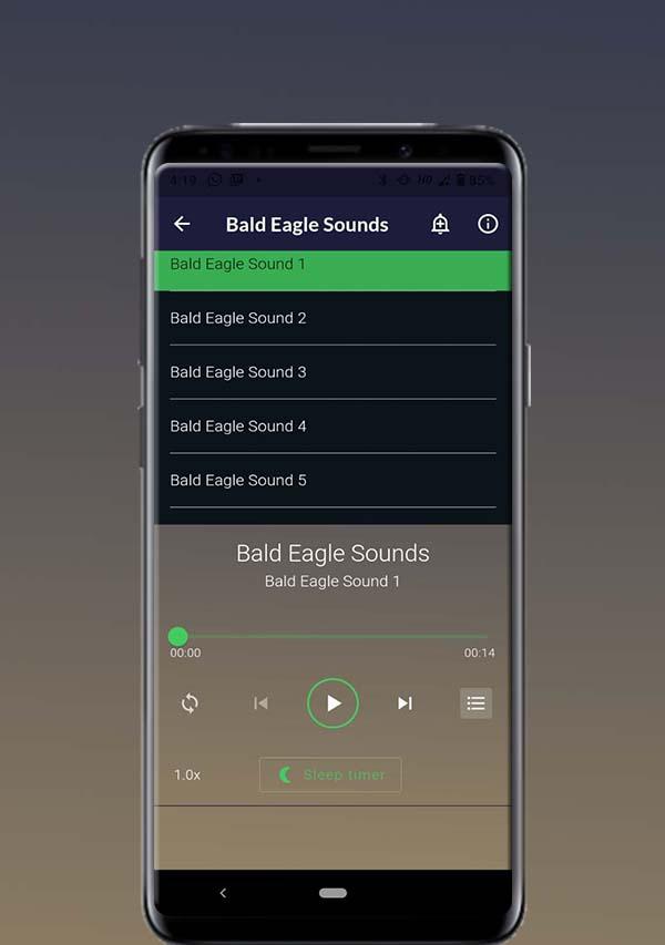 Bald Eagle Sounds স্ক্রিনশট 0