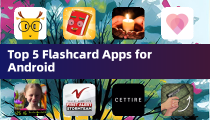 Los 5 mejores aplicaciones de tarjetas de memoria para Android